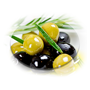 Zeytin & Zeytinyağları Zeytin & Zeytinyağları